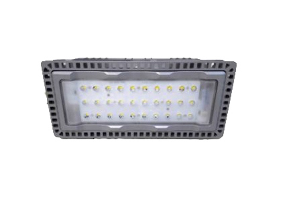LED flood light