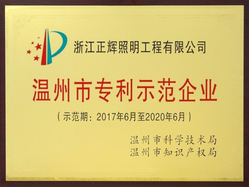 溫州市專(zhuān)利示范企業(yè)